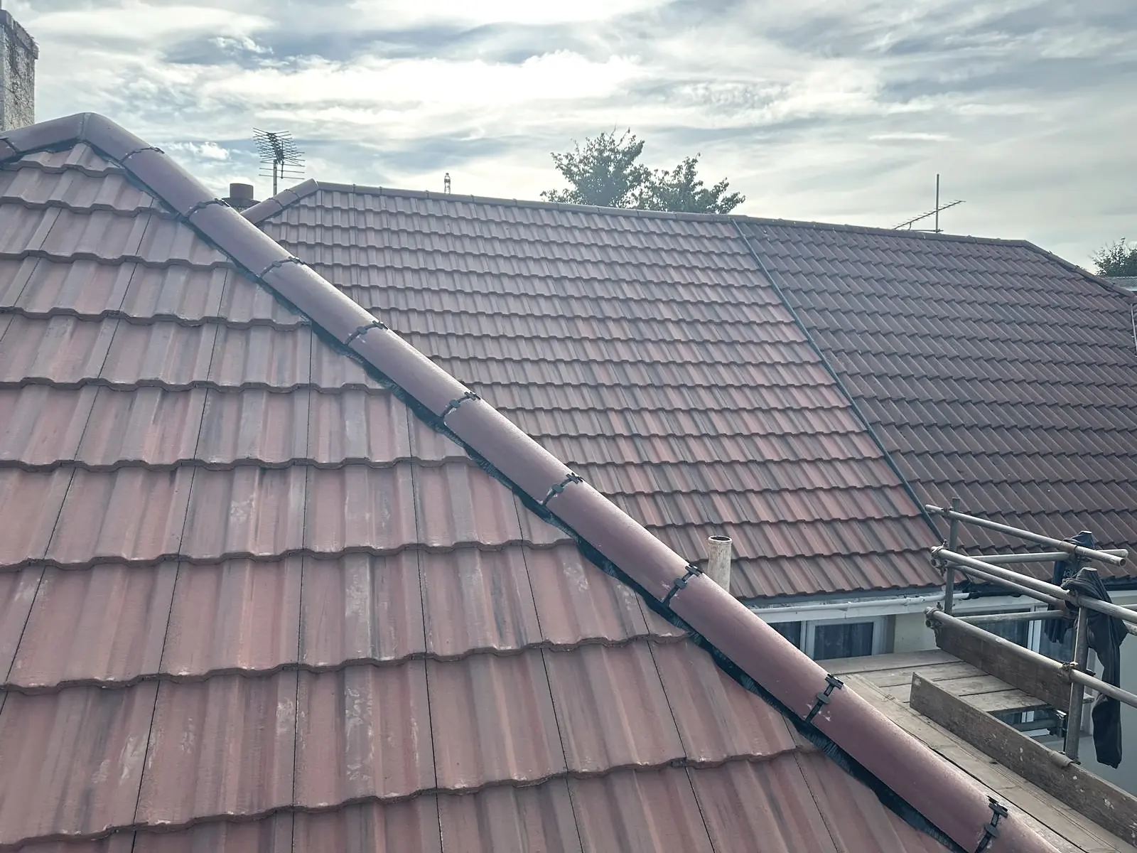 A red tiled roof of ours with the ridge and hips clipped down dry, scaffold at the edge