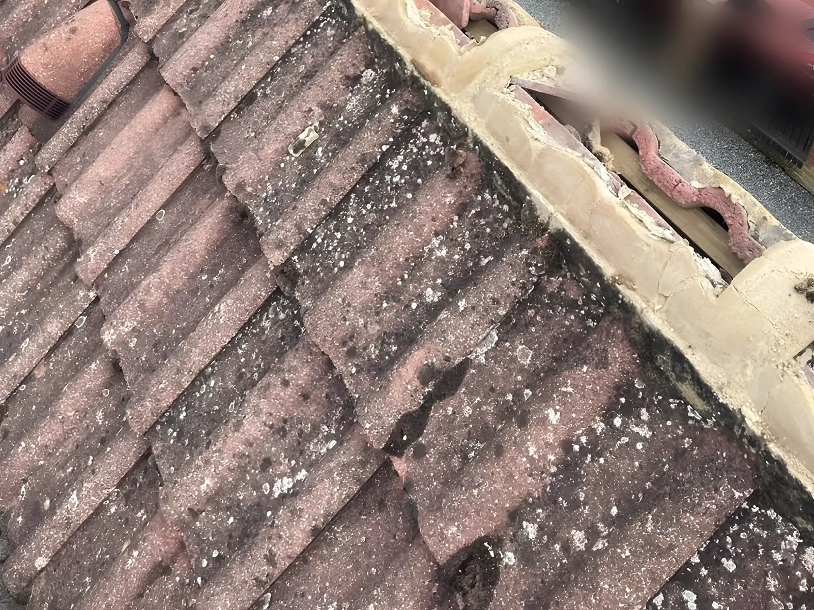 A ridge on a red tiled roof with its mortar broken away and the ridge tiles loose