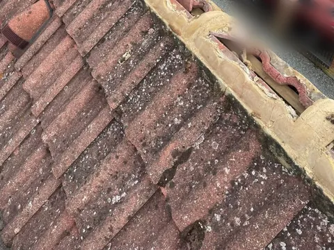 A ridge on a red tiled roof with its mortar broken away and the ridge tiles loose